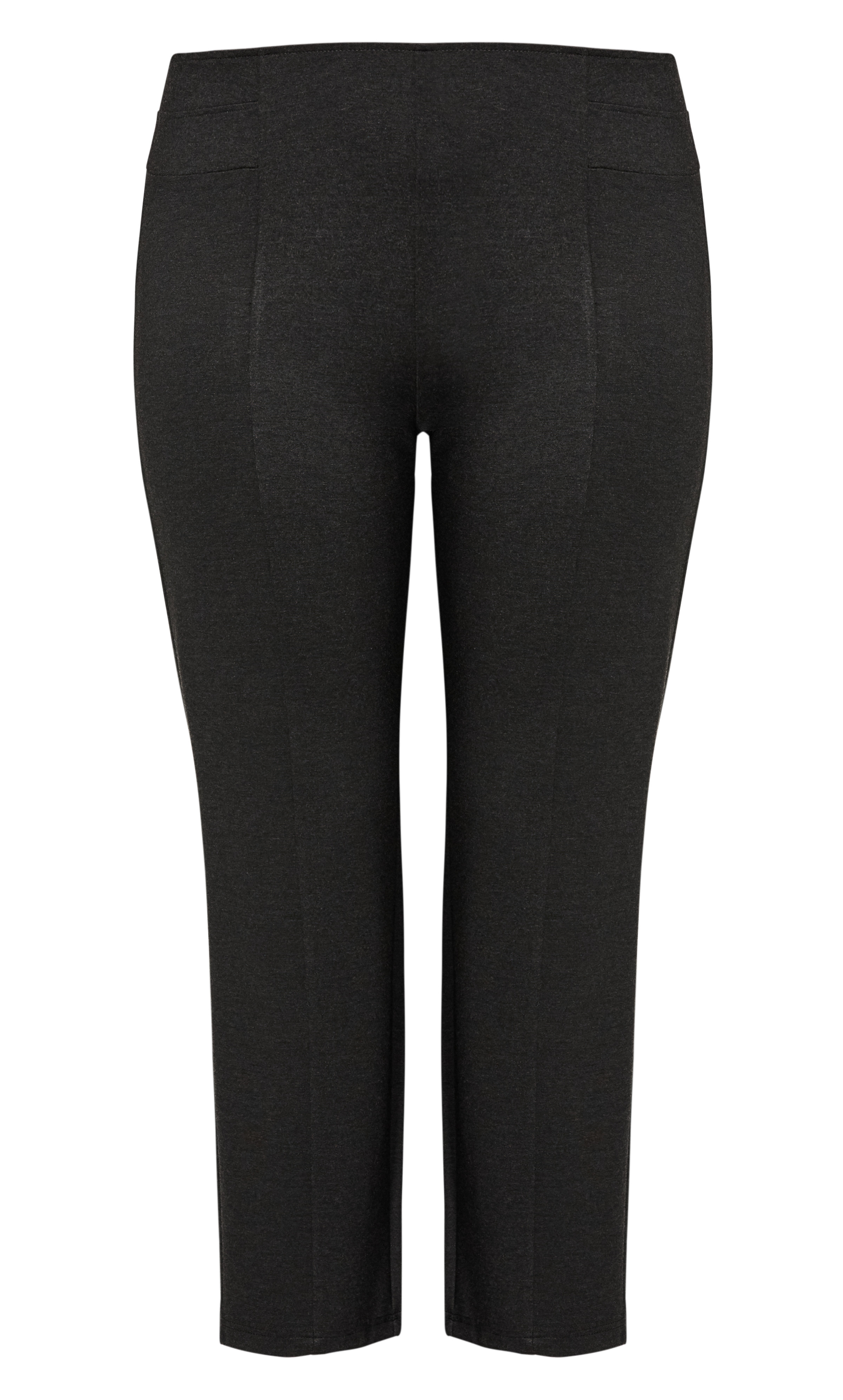 plus size ponte pants